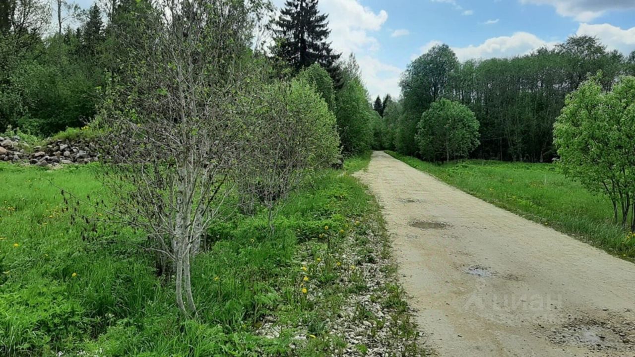 Продажа земли д. Шадырицы, 5
