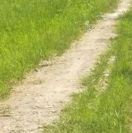 Продажа земли Коммунальщик СНТ