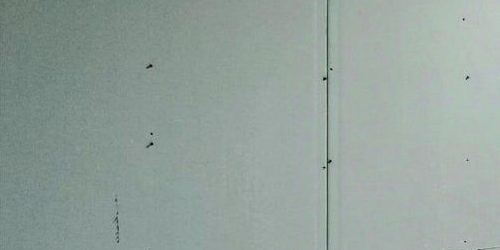 3-комн квартира Пушкин, Захаржевская улица, 14