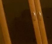 Сдать в аренду Квартиры вторичка Реутов, Юбилейный проспект, 2к1   