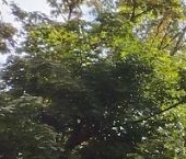 Продать Квартиры вторичка Вешняковская улица, 8К1   