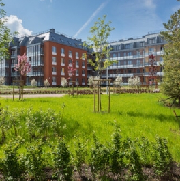 Продажа 1-комн квартиры на вторичном рынке Струве ул,  д. 12 к1