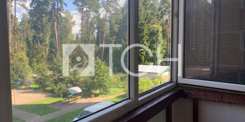 3-комн квартира Пушкино, Лесная ул, 69к2