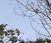 Продать Квартиры вторичка Дубнинская улица, 69К3   