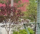 Продать Дачи, коттеджи, загородные дома Нева-2 СНТ  8 