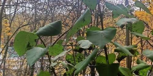 2-комн квартира Гурьевский проезд, 29К1