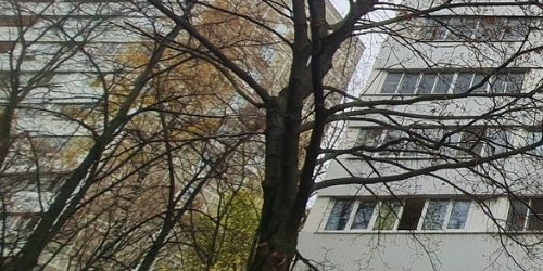 2-комн квартира Косинская улица, 14К2