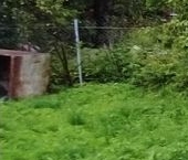 Продать Земельные участки, земля Корпиково садоводческий массив   