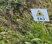 Продать Земельные участки, земля Виль-Парк кп, д. Вильповицы  58 