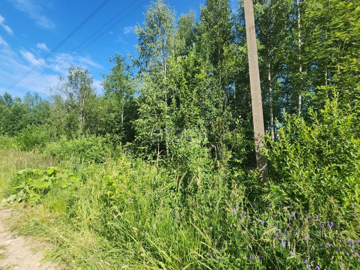 Продажа земли Посадников остров садоводческий массив, проезд 3-й,  д. 124