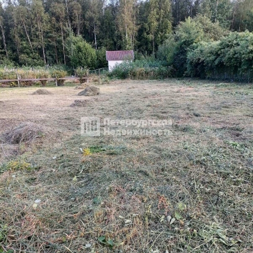 Земельный участок Новая Ладога г, СНТ Нептун тер