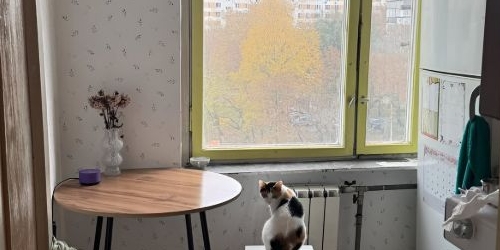 3-комн квартира Востряковский проезд, 7К2