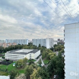 Аренда 1-комн квартиры на вторичном рынке Ленская улица,  д. 23