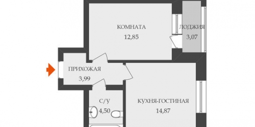 1-комн квартира Лиговский пр-кт,  д. 232