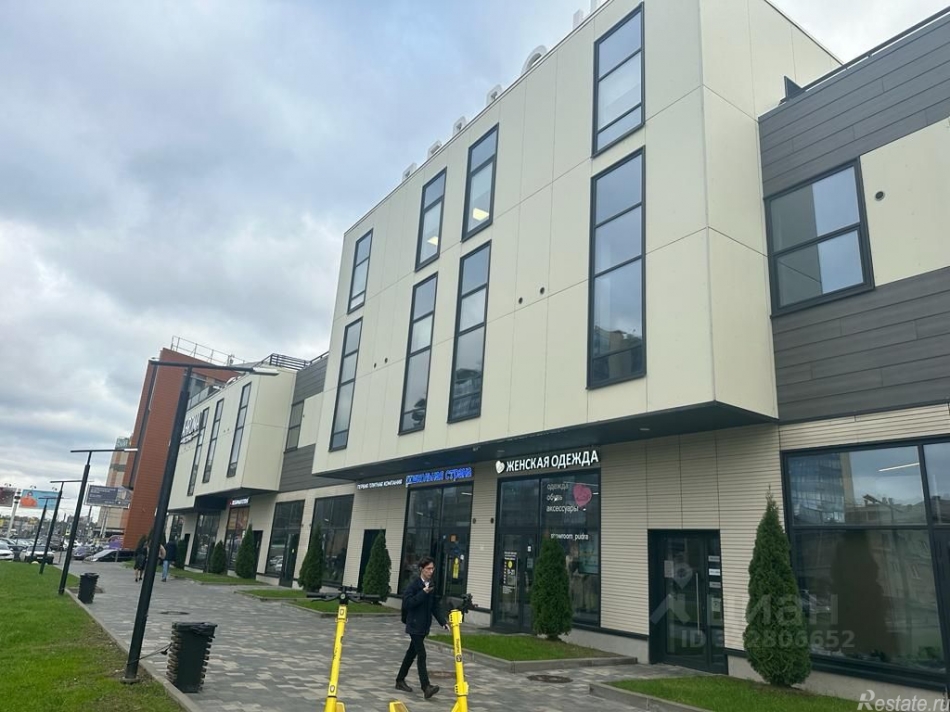 Аренда ПСН Заневский пр-кт,  д. 65 к1