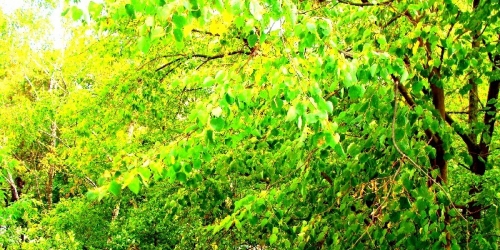 2-комн квартира Молдавская ул ,  д. 2,  к. 2