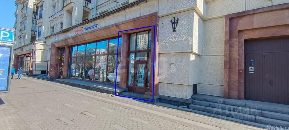 Аренда ПСН Московский пр-кт,  д. 208