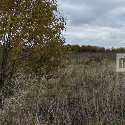 Земельный участок Благодатное СНТ, 1-я линия