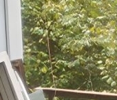 Продать Квартиры вторичка пос. Колычево, 32   