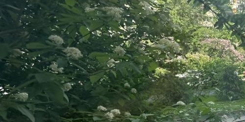 Комната Тимуровская улица, 9