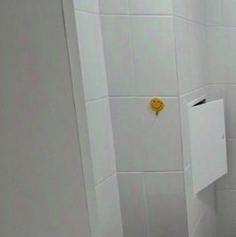 Аренда студии Колпино, дорога Балканская, 14к2