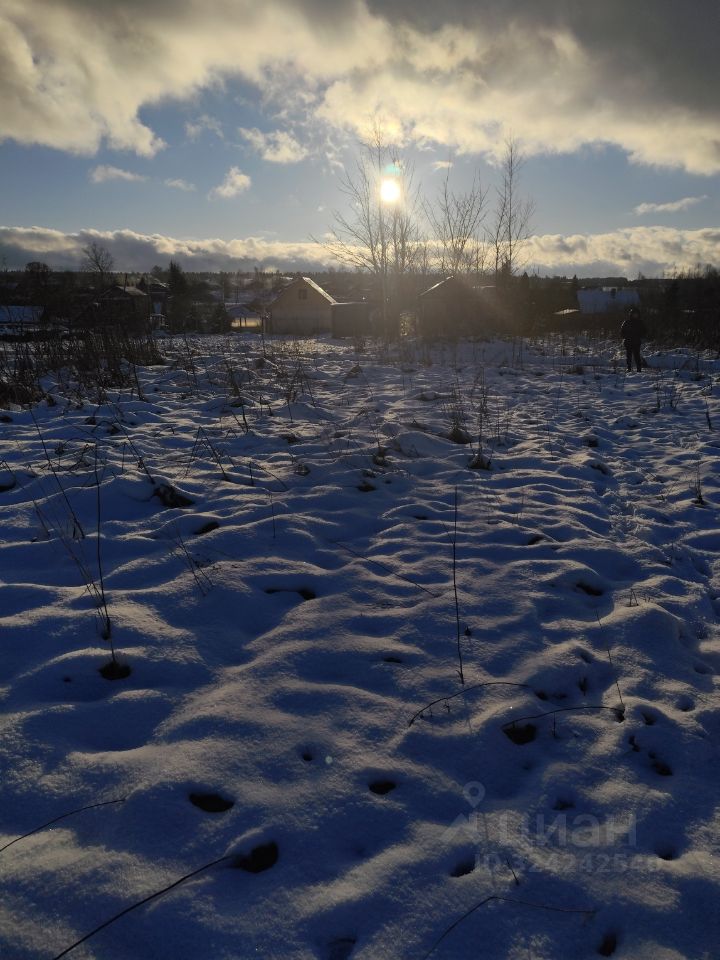 Продажа земли д. Старые Низковицы, улица Центральная