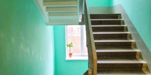 1-комн квартира Петергоф г., Разводная ул. ,  д. 37