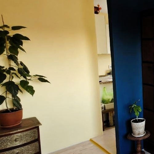 1-комн квартира Гатчина, улица Лейтенанта Шмидта, 4