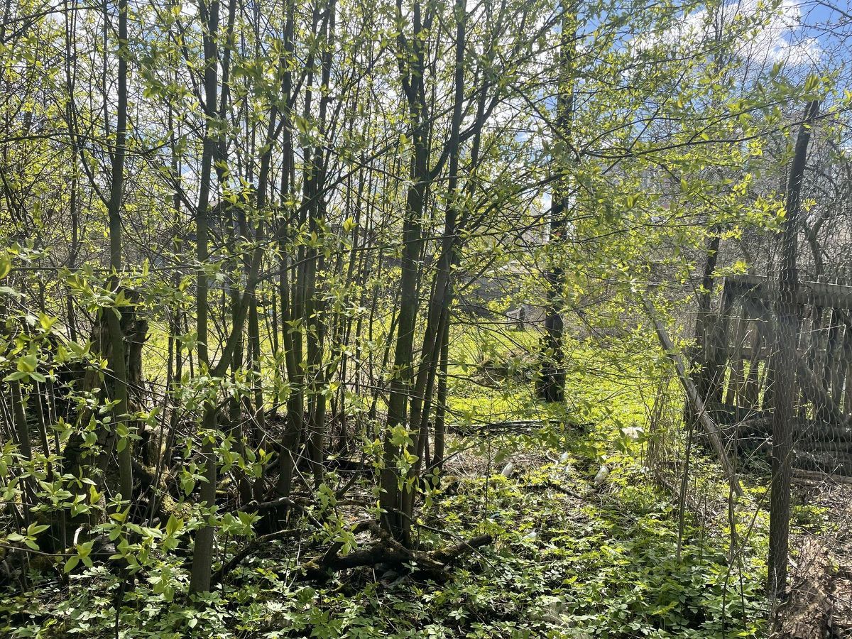 Продажа земли Усть-Славянка тер., улица Заводская, 31
