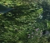 Продать Дачи, коттеджи, загородные дома пос. При железнодорожной станции Каннельярви, Вита СНТ   