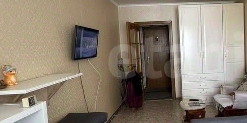 1-комн квартира улица Карпинского, 33к1