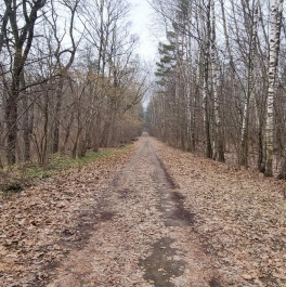Продажа отдельного здания деревня Берхино, базы отдыха Лесные дали территория