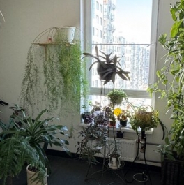 Продажа 1-комн квартиры на вторичном рынке Молоково, Солнечный проезд,  д. 6