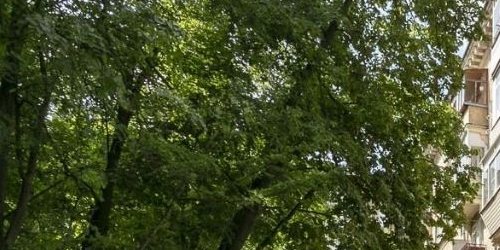 3-комн квартира улица Ивана Бабушкина, 13К1