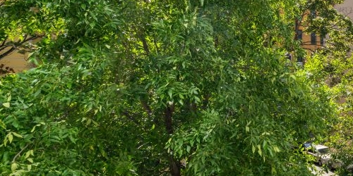 1-комн квартира Офицерский переулок, 8