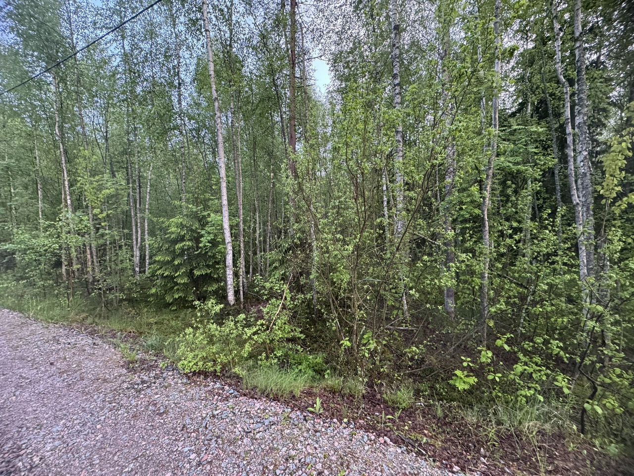 Продажа земли пос. Межозерное, улица Лесная