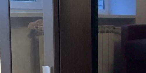 2-комн квартира Петергоф, Блан-Менильская улица, 9