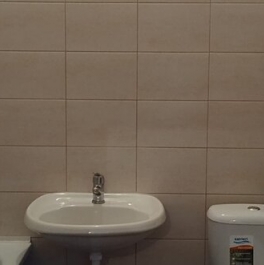 Продажа 1-комн квартиры на вторичном рынке Муринская дор,  д. 14 к2