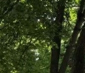 Продать Квартиры вторичка Сергиев Посад, улица Мира, 6   