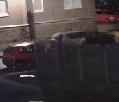 Сдать в аренду Квартиры вторичка Ленинский проспект, 53к1   