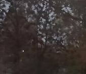 Продать Квартиры вторичка Руза, Почтовая улица, 1   