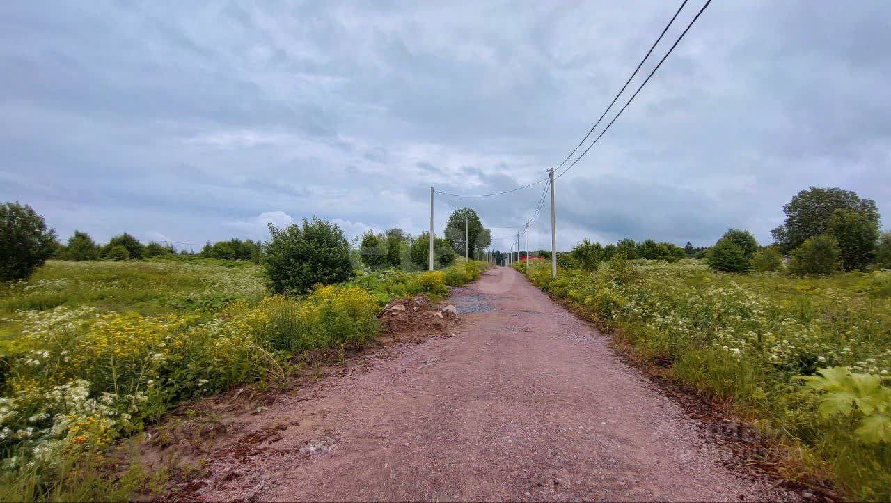 Продажа земли Новое Заостровье СНТ, улица Звездная