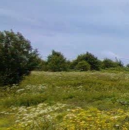 Продажа земли Новое Заостровье СНТ, улица Звездная