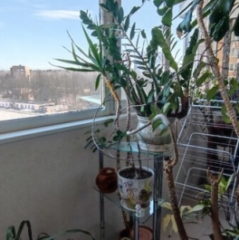 Продажа 4-комн квартиры на вторичном рынке Одинцово, ул Северная,  д. 57