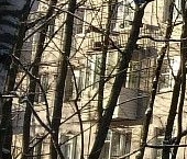 Продать Квартиры вторичка Сестрорецк, набережная Строителей, 8   