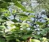 Продать Дачи, коттеджи, загородные дома Рассвет СНТ, улица 16-я   