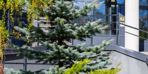 3-комн квартира Ярославский проспект, 78