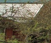 Продать Дачи, коттеджи, загородные дома Новинка садоводческий массив, Парус СНТ, 5-я линия  122 