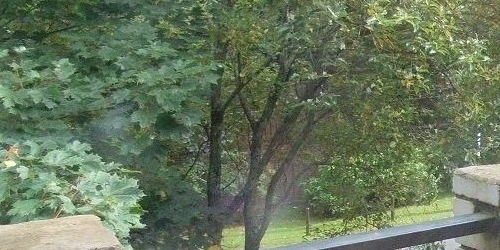 Коттедж/дом пос. Лисий Нос, Высокая улица