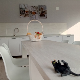 Продажа дома Щёлково, ул Циолковского,  д. 1